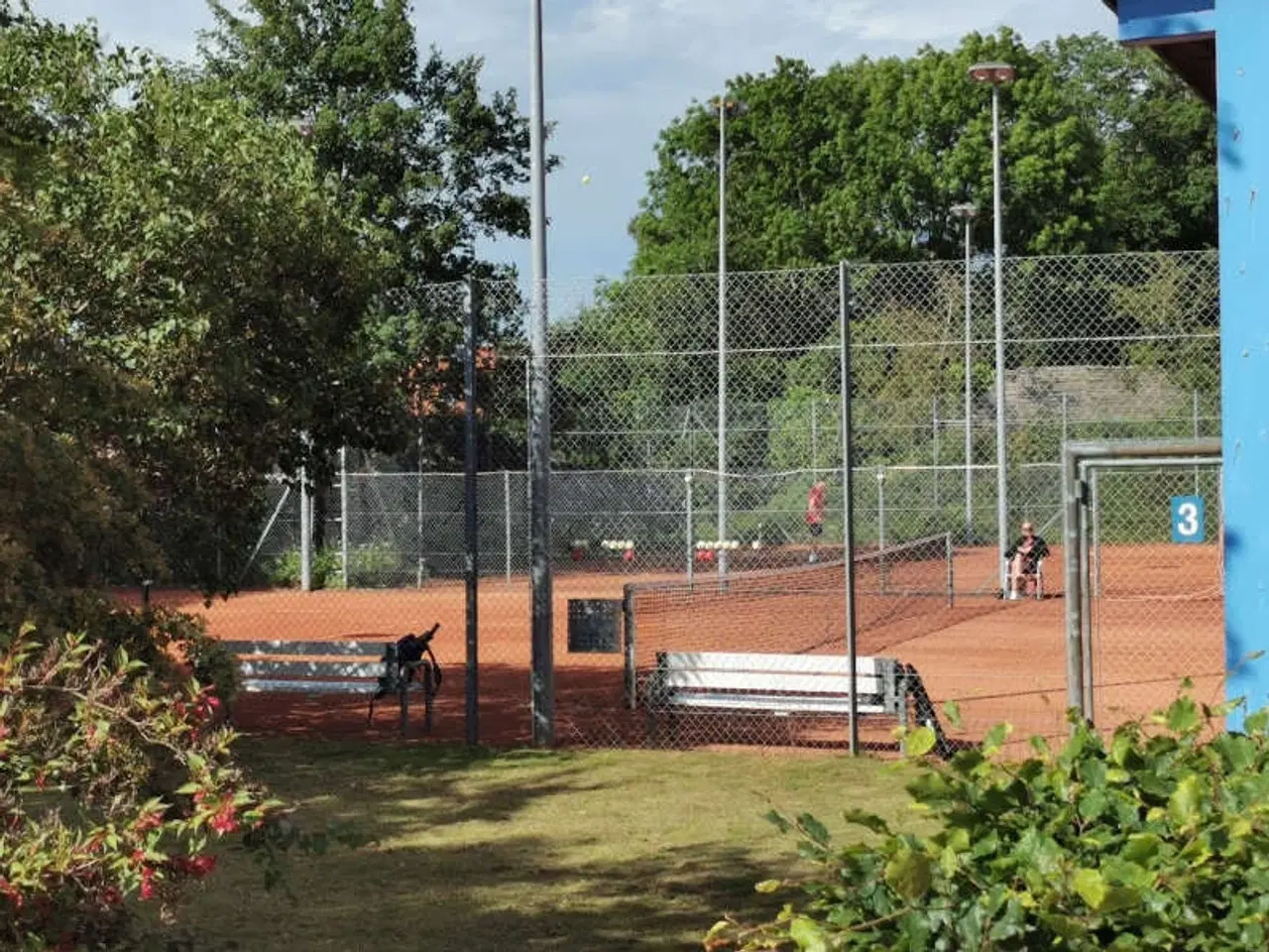Billede 15 - Tenniskursus for begyndere!! Vejgaard. Øgade.