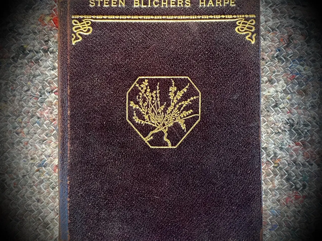 Billede 1 - * Steen Blichers Harpe