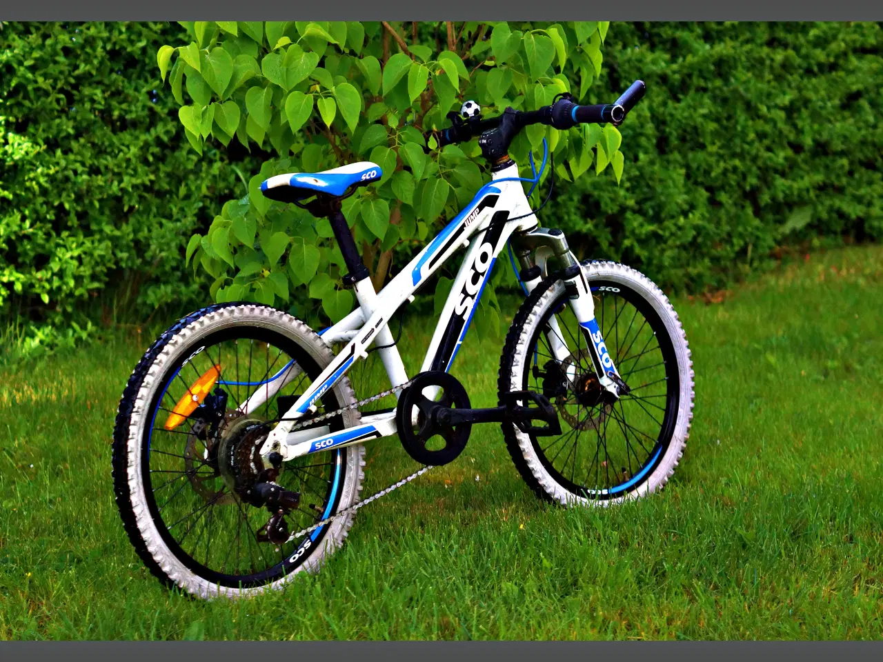 Billede 3 - Mountainbike 20" hjul.  7gear.  SCO