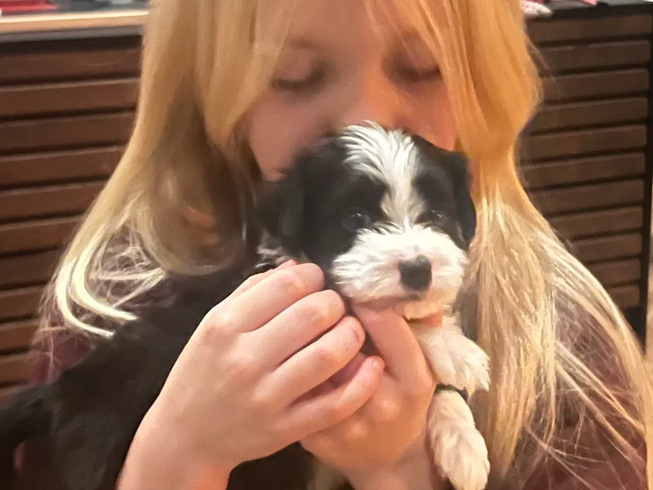 Billede 5 - Klar den 25 december