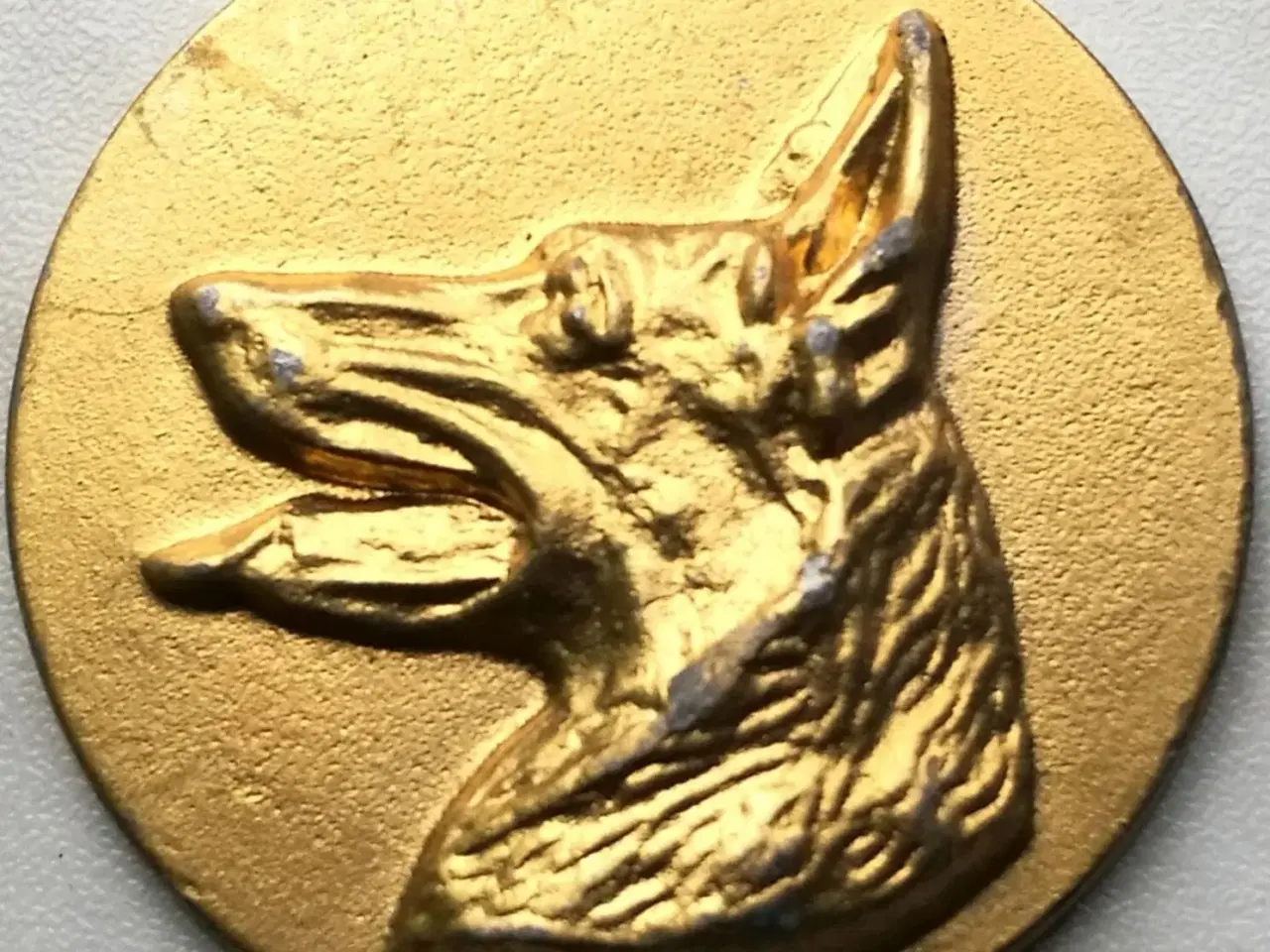 Billede 6 - Hunde medaljer.