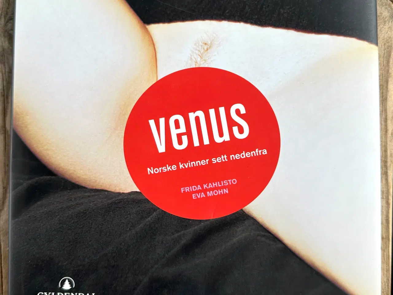 Billede 1 - VENUS - Norske kvinner sett nedenfra – Norsk