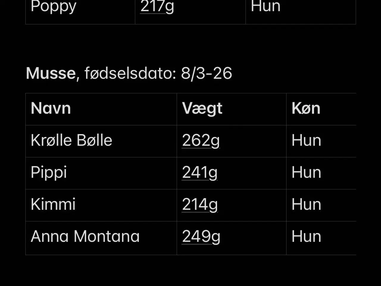 Billede 21 - Marsvin unger, 10 stk blandet