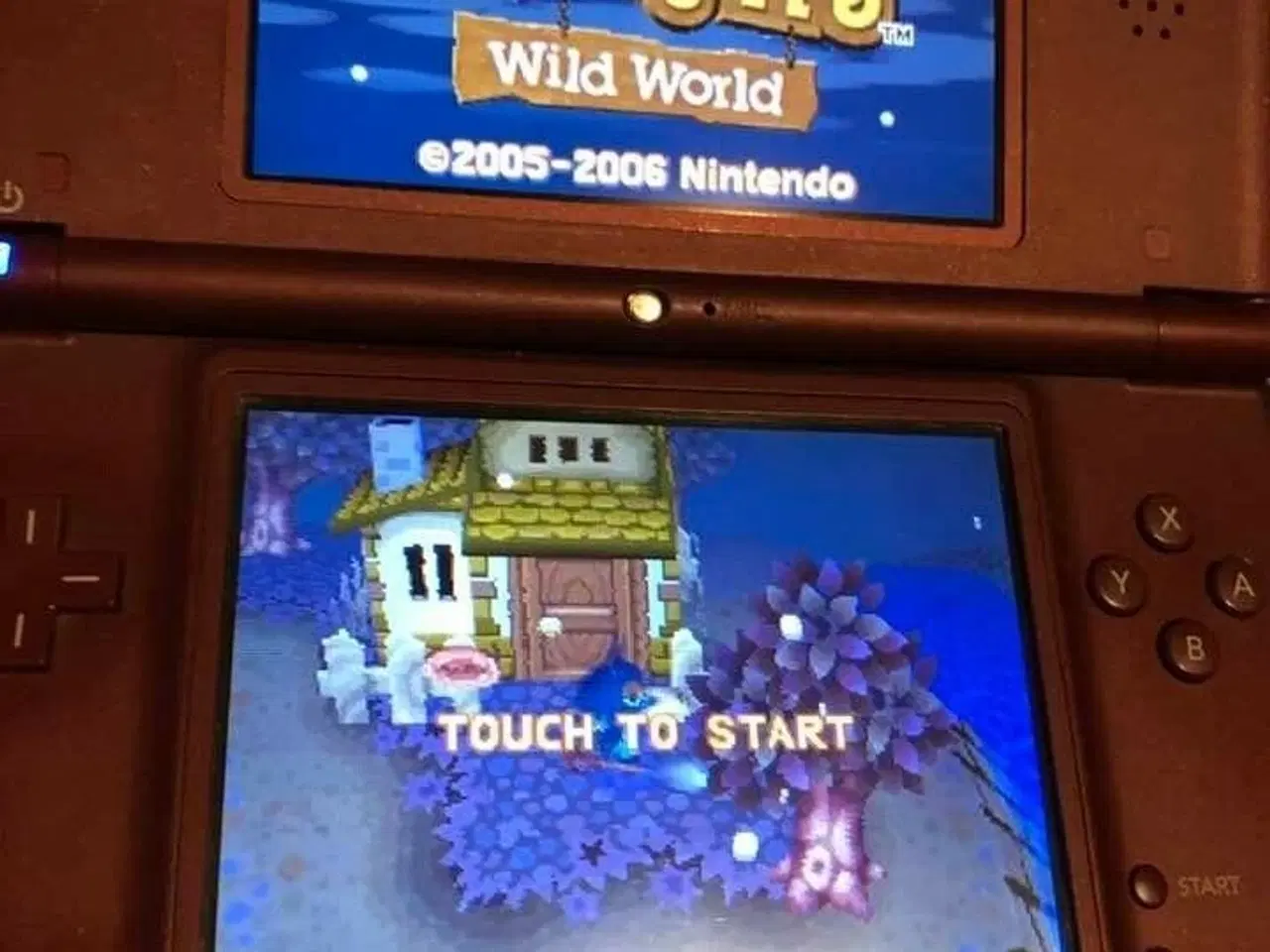 Billede 9 - Animal Crossing Wild World