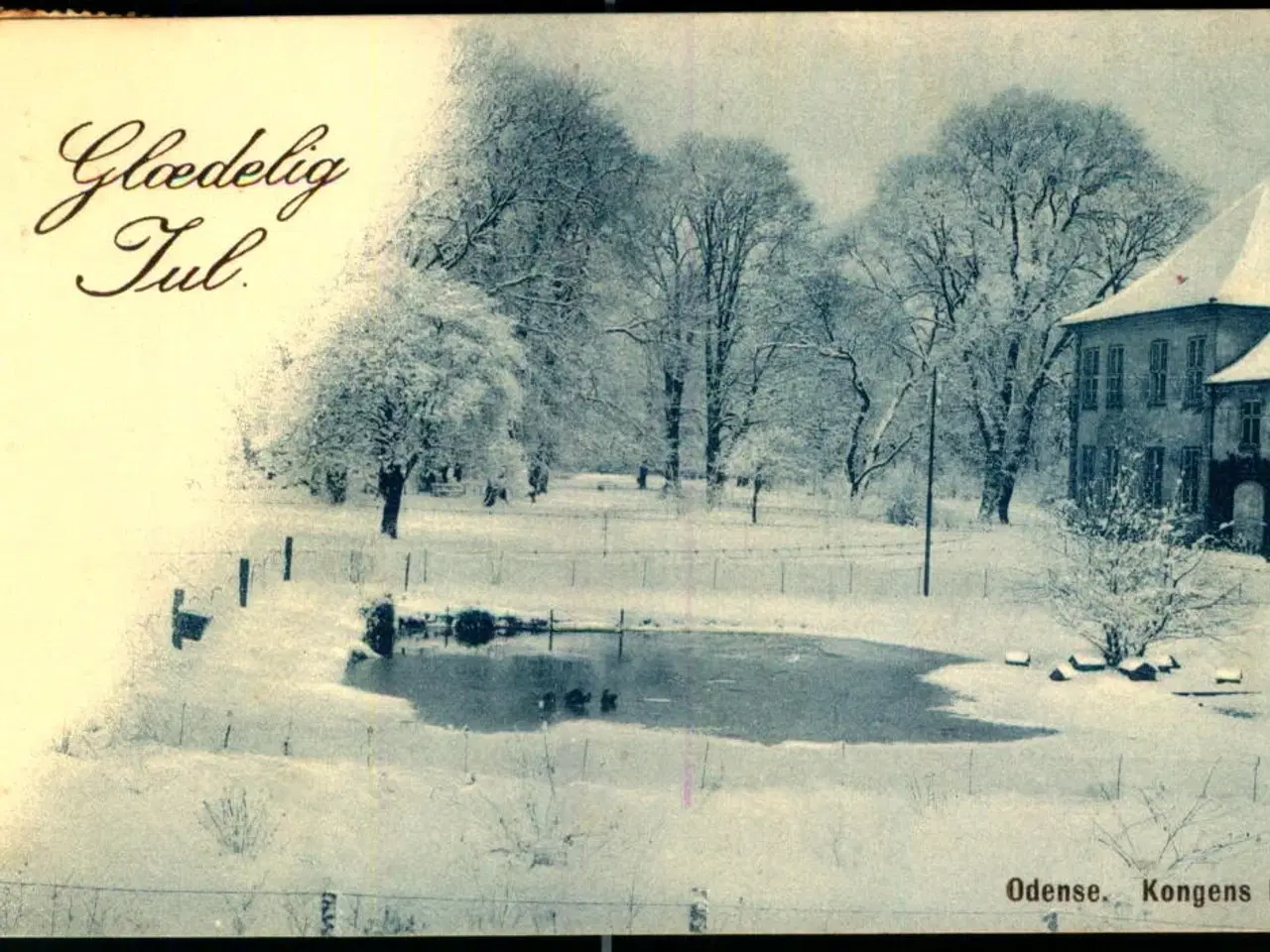 Billede 1 - Odense - Kongens Have - Glædelig jul - Stender 41479 - Brugt