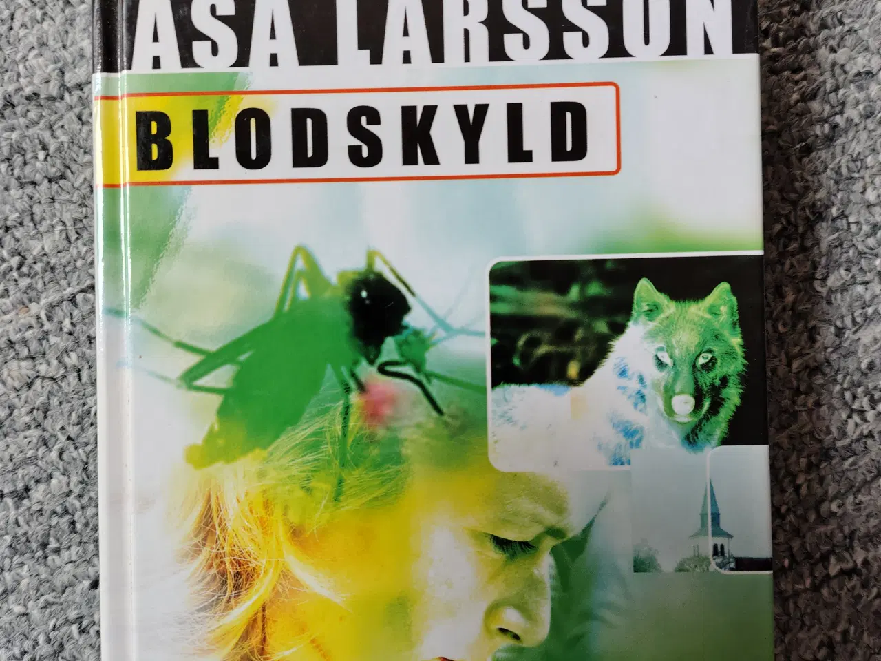 Billede 1 - Blodskyld - Åsa Larsson