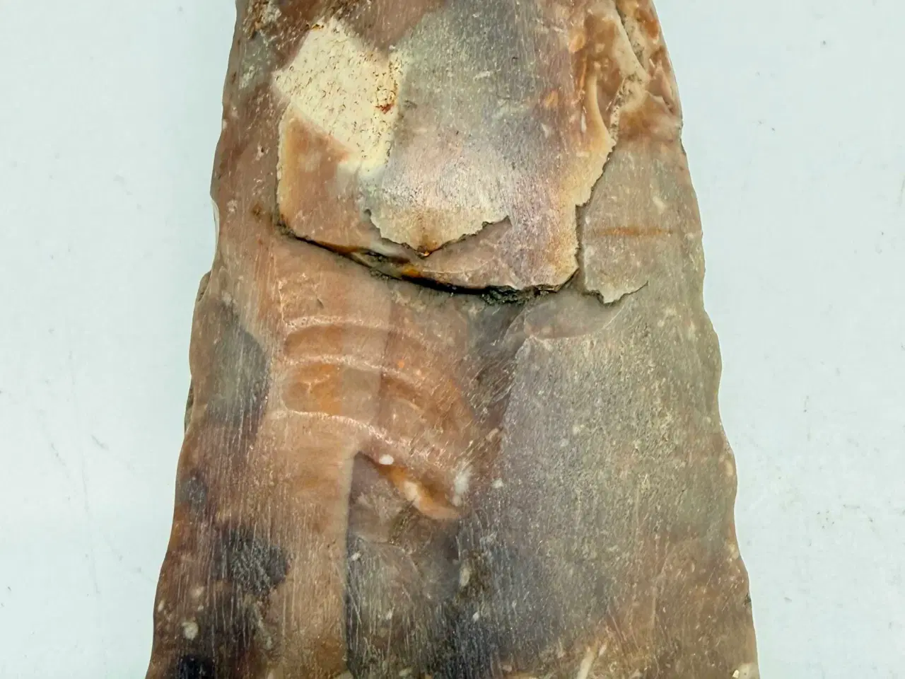 Billede 2 - Dansk oldtid - Flintøkse