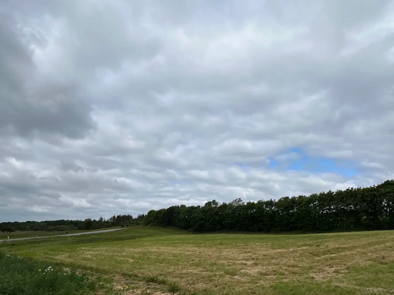 Billede 3 - Opstaldning fuldpas Astrup
