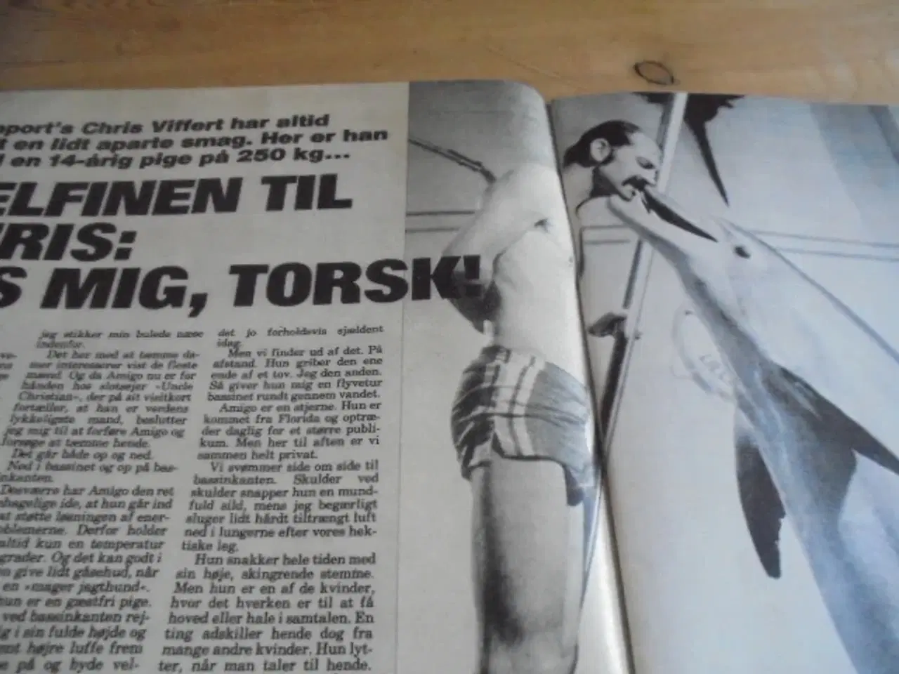 Billede 4 - Ugens Rapport nr. 33 fra 1979  