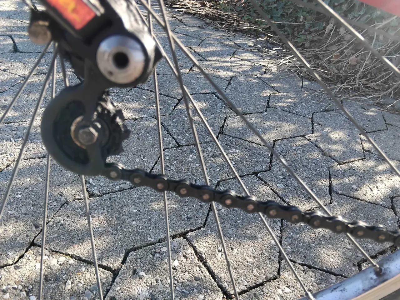 Billede 6 - Sco verdensmester