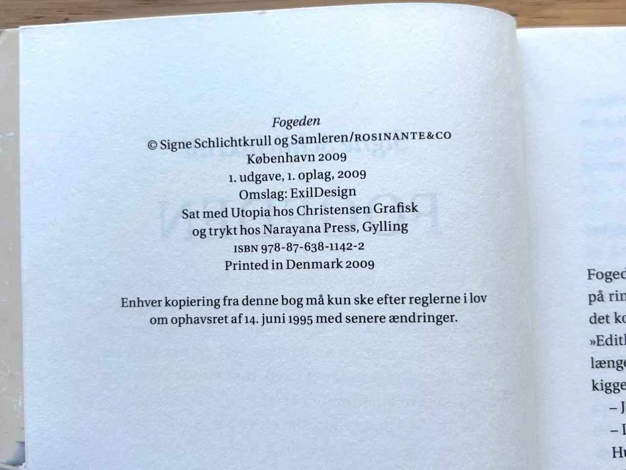 Billede 3 - Fogeden af Signe Schlichtkrull