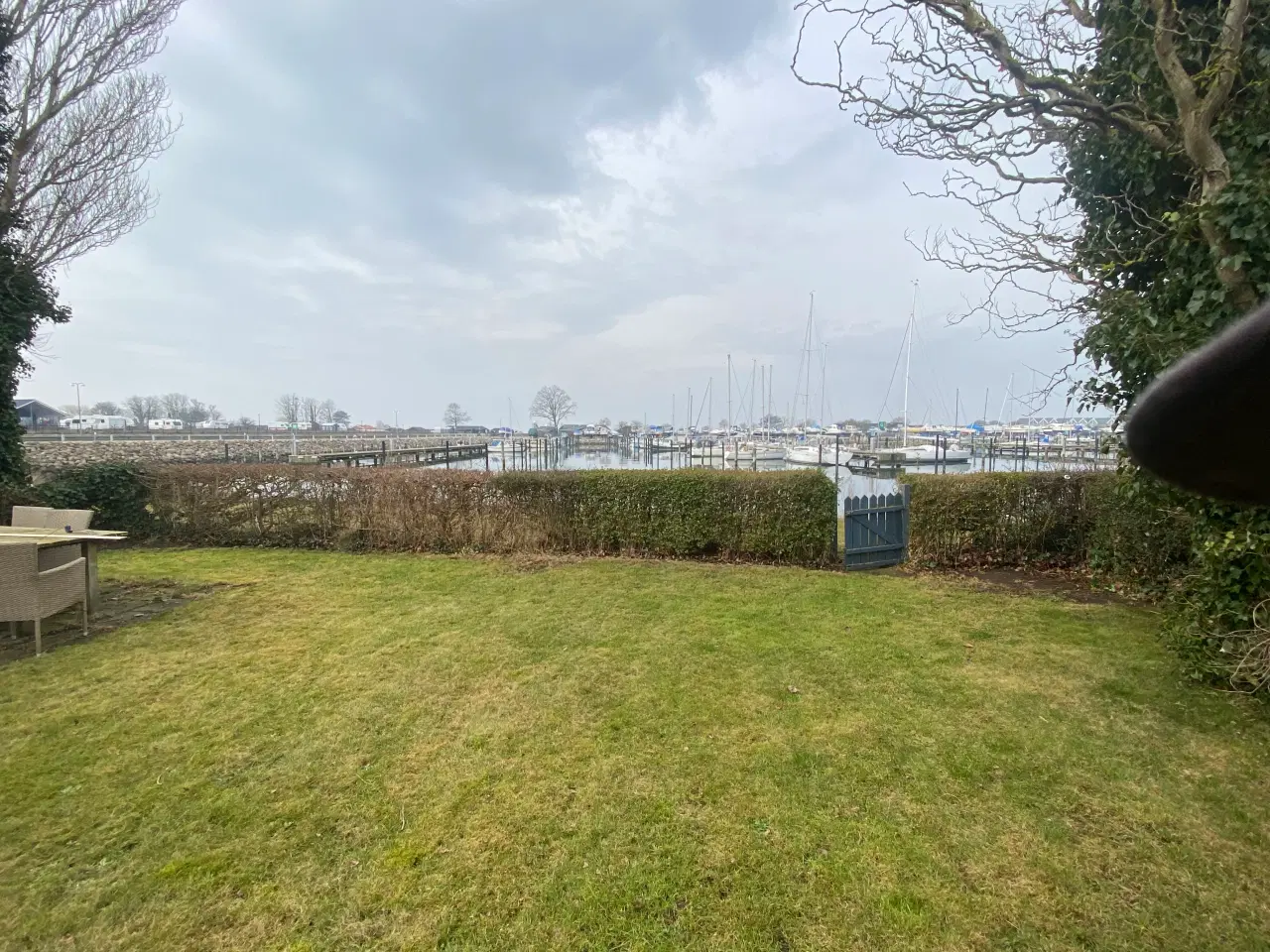 Billede 14 - Kolonihave med udsigt til Assens Marina 
