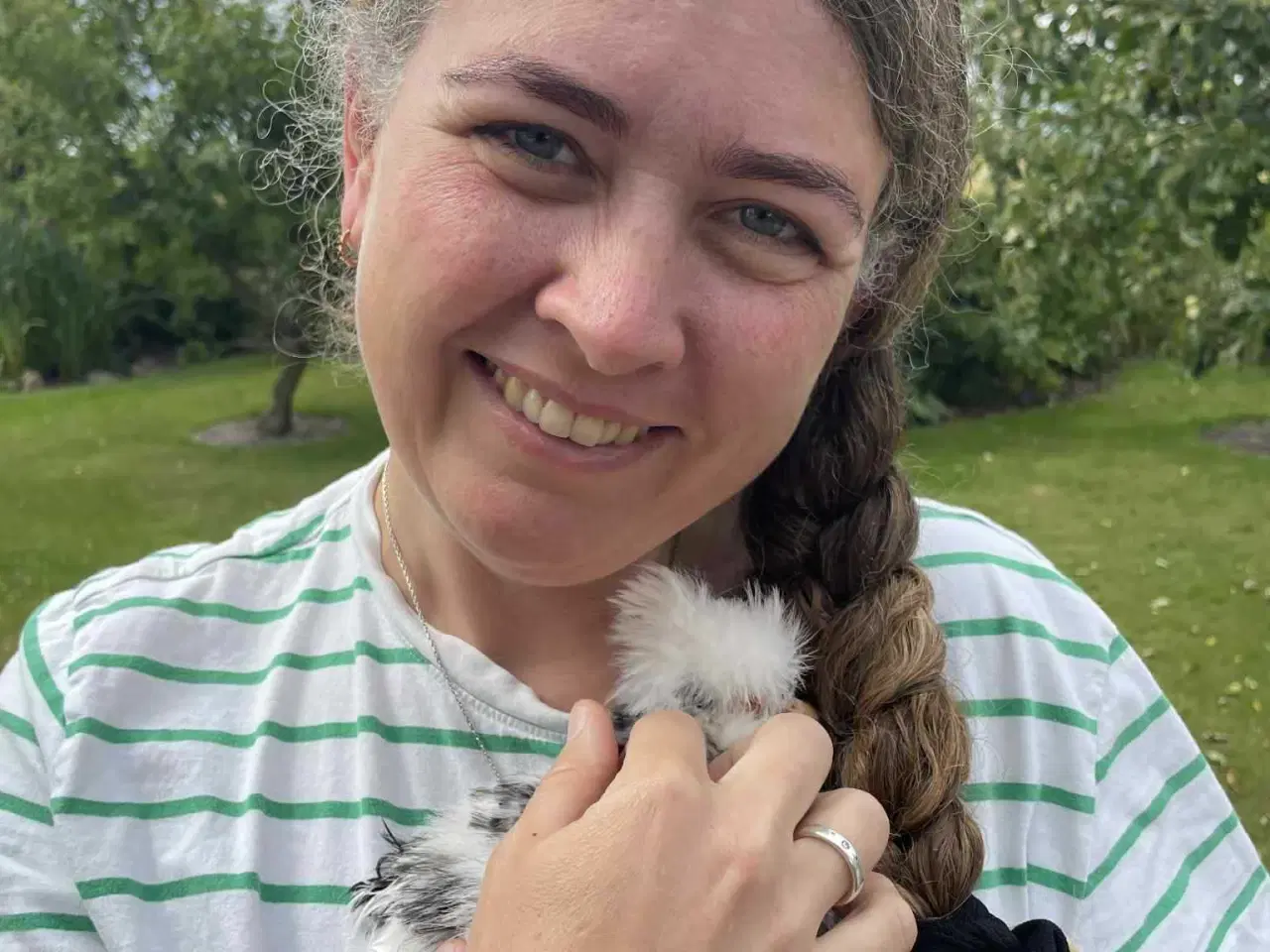 Billede 1 - Bløde bamselignende hønekyllinger