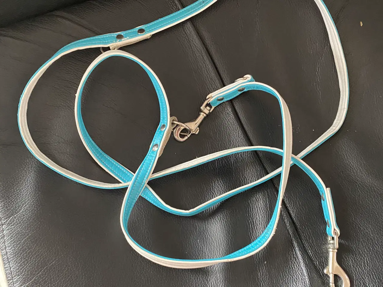 Billede 1 - Hundesnor læder
