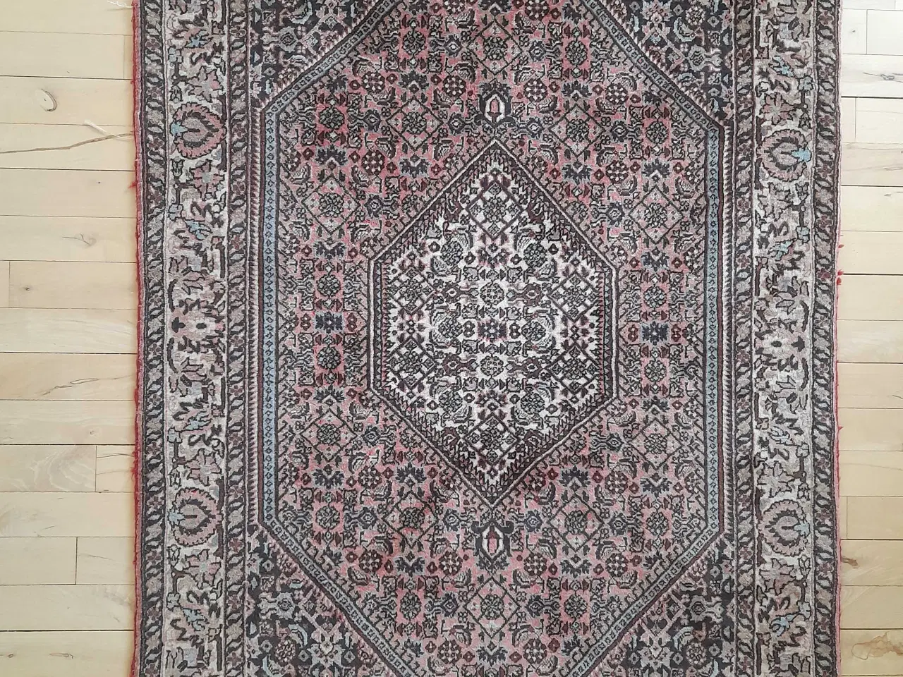 Billede 1 - Persisk tæppe i uld   Mål: 144x88