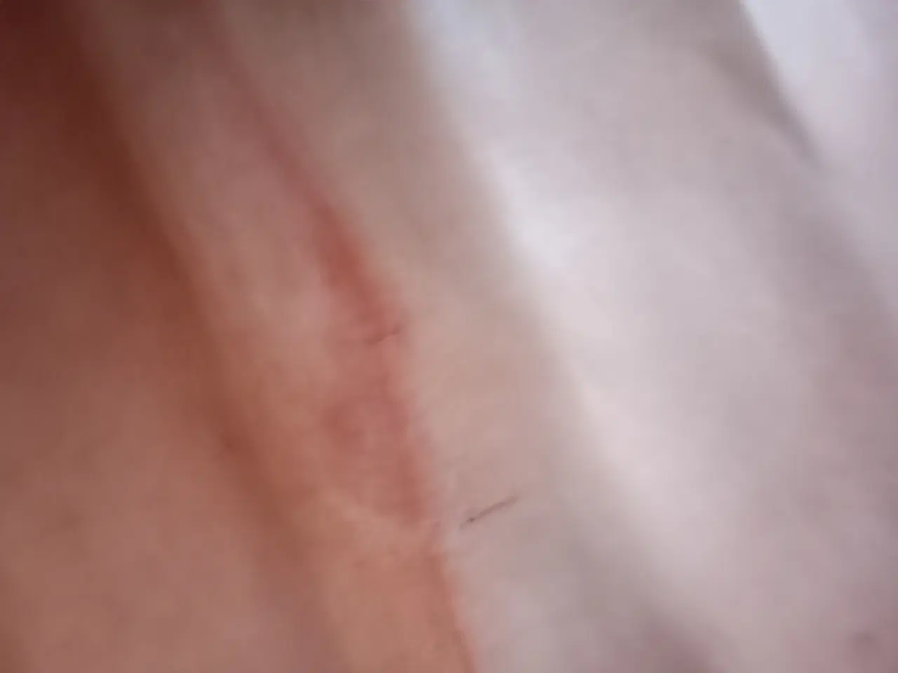 Billede 2 - Kernelæder hel hud