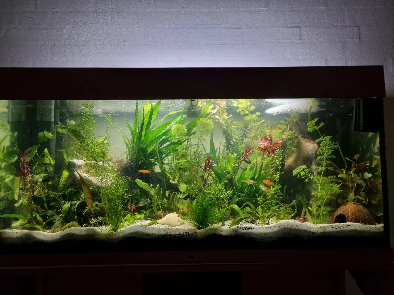 Billede 1 - Akvarie 180L 