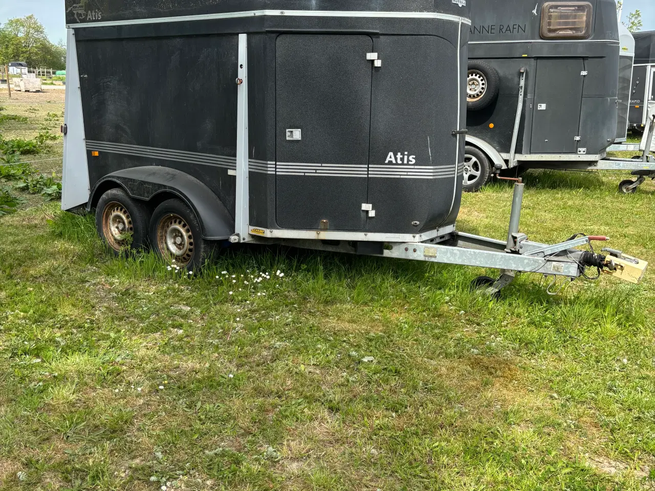 Billede 1 - Humbauer Atis hestetrailer