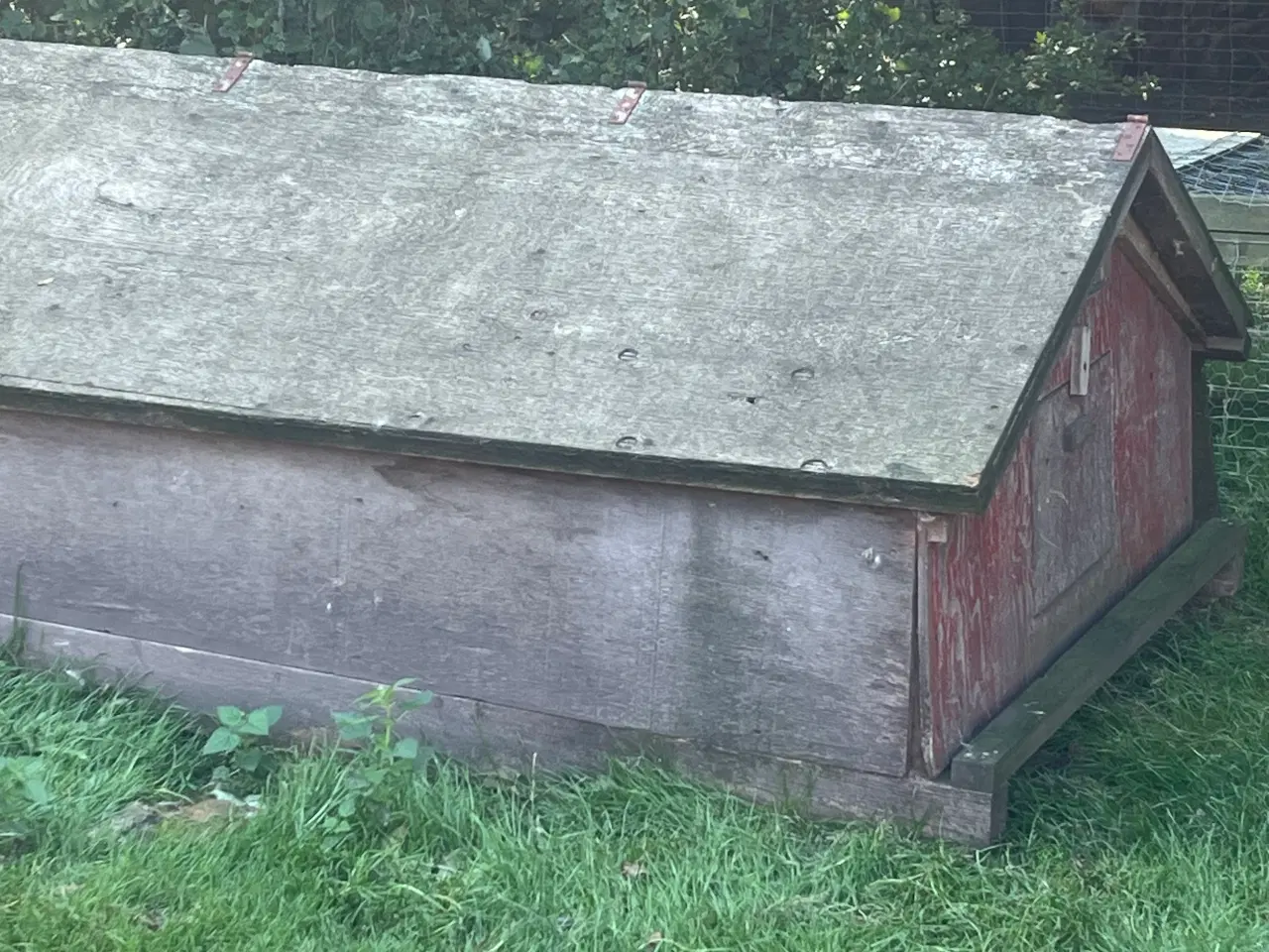 Billede 4 - Kyllinge hus
