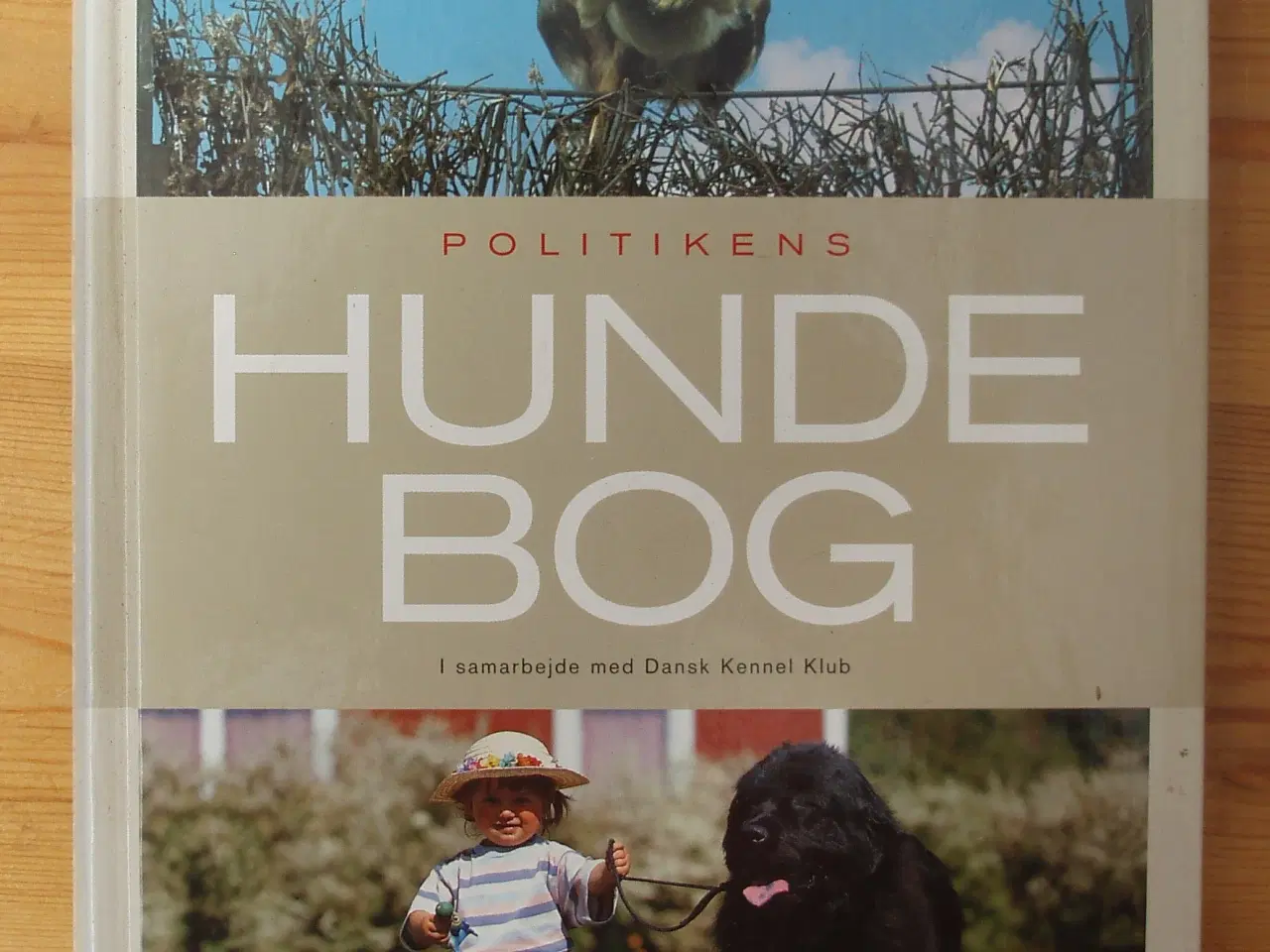 Billede 1 - Politikens Hundebog