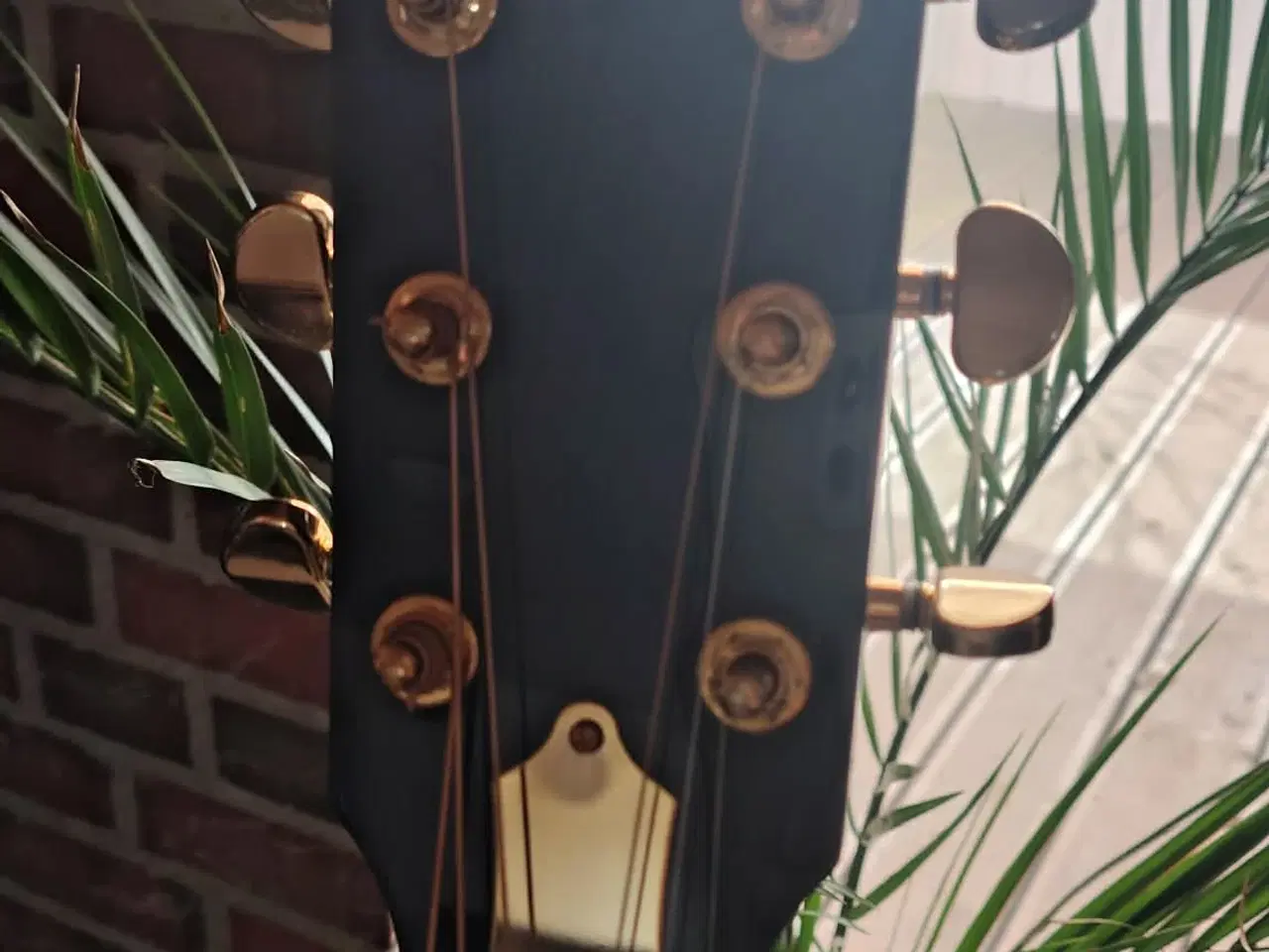 Billede 4 - Harley Benton Custom Line CLR-ResoElectric