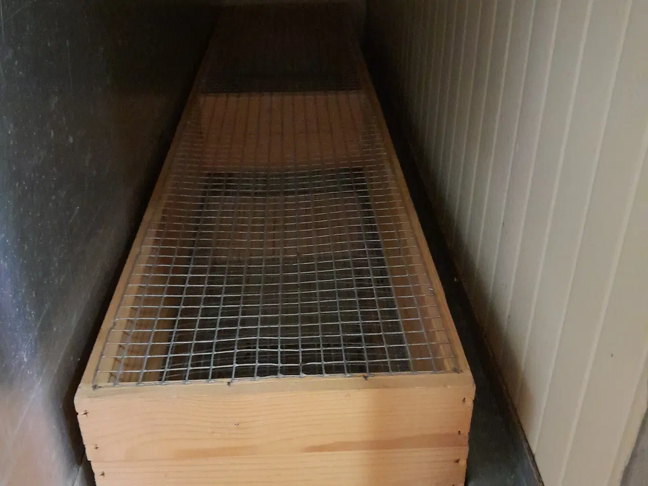 Billede 6 - rugemaskine med integreret klækker