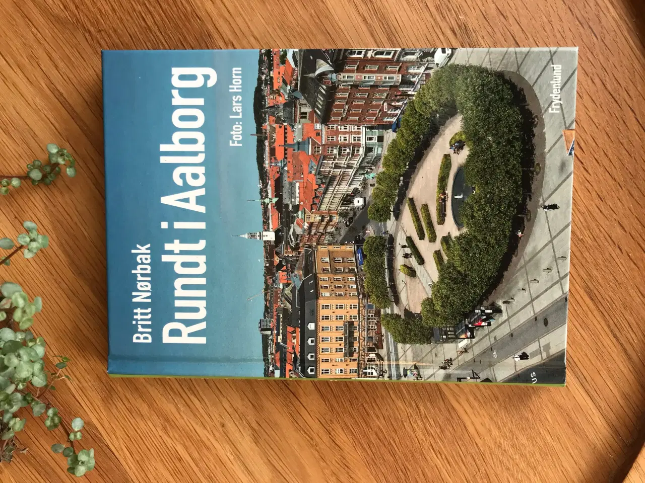 Billede 1 - Rundt i Aalborg  af Britt Nørbak