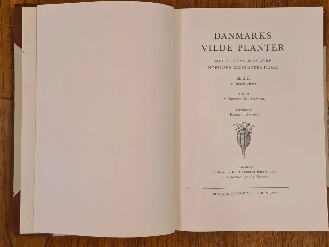 Billede 6 - Danmarks Vilde Planter