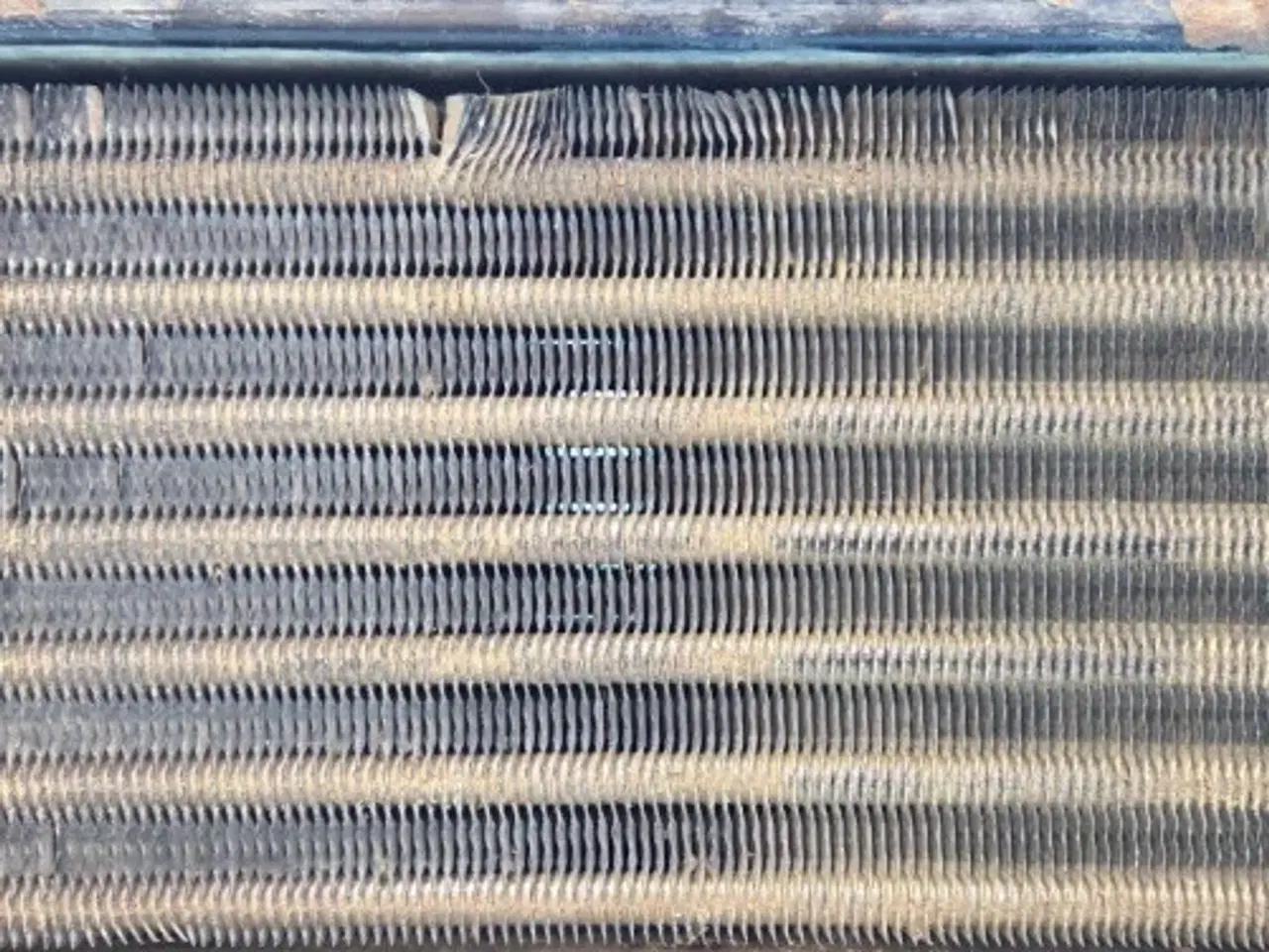 Billede 12 - Massey Ferguson 6260 Køler 3780458M1