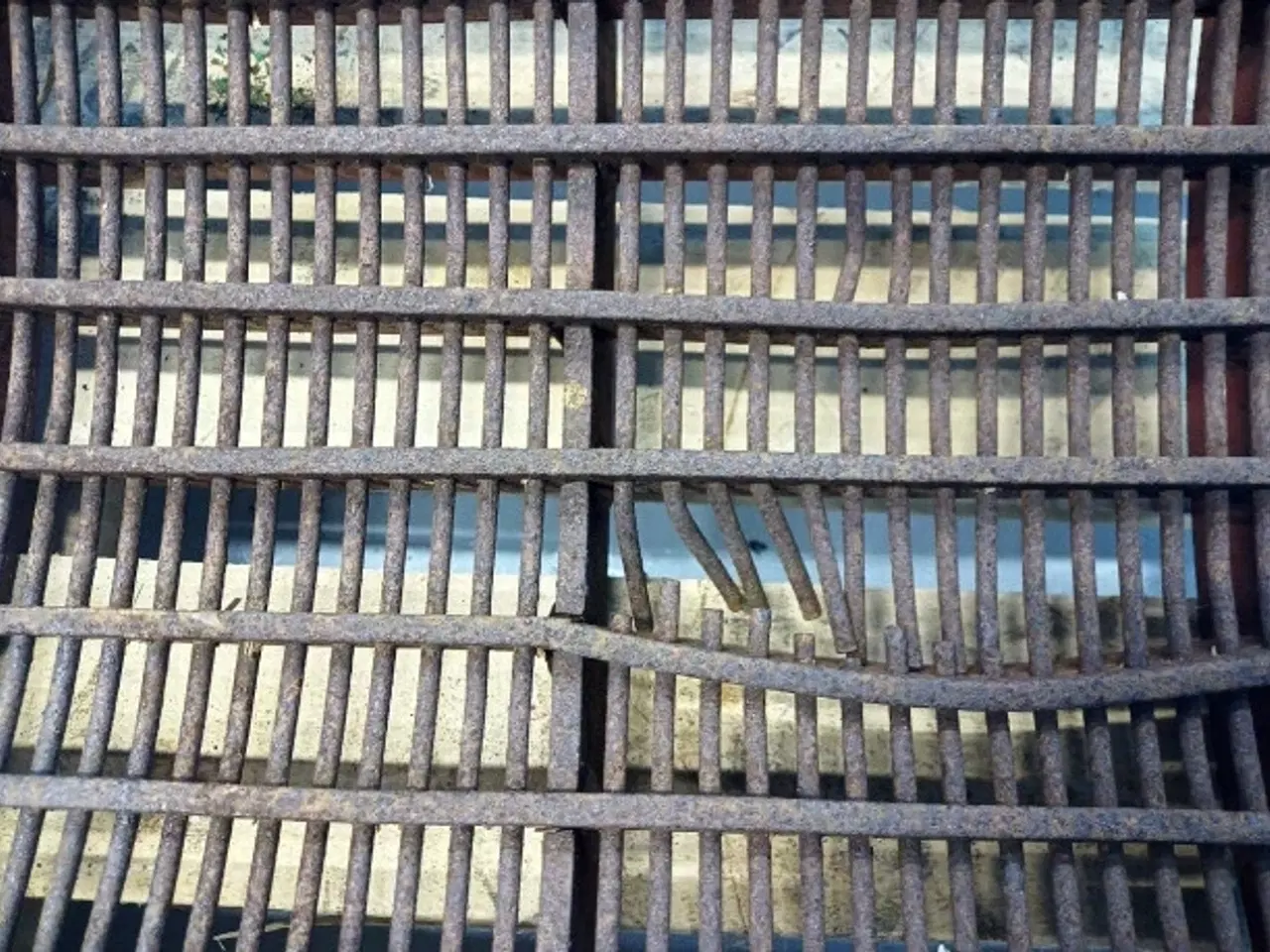 Billede 12 - Case 1640 Bro 1309208C3