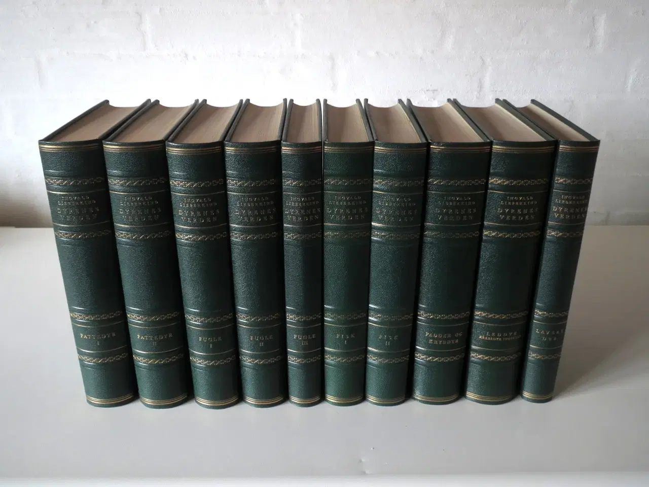 Billede 1 - Ingvald Lieberkind Dyrenes verden bind 1-10