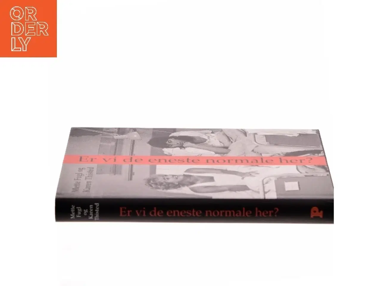 Billede 2 - Er vi de eneste normale her? : noter, anekdoter og samtaler om visse erindringer (Bog)