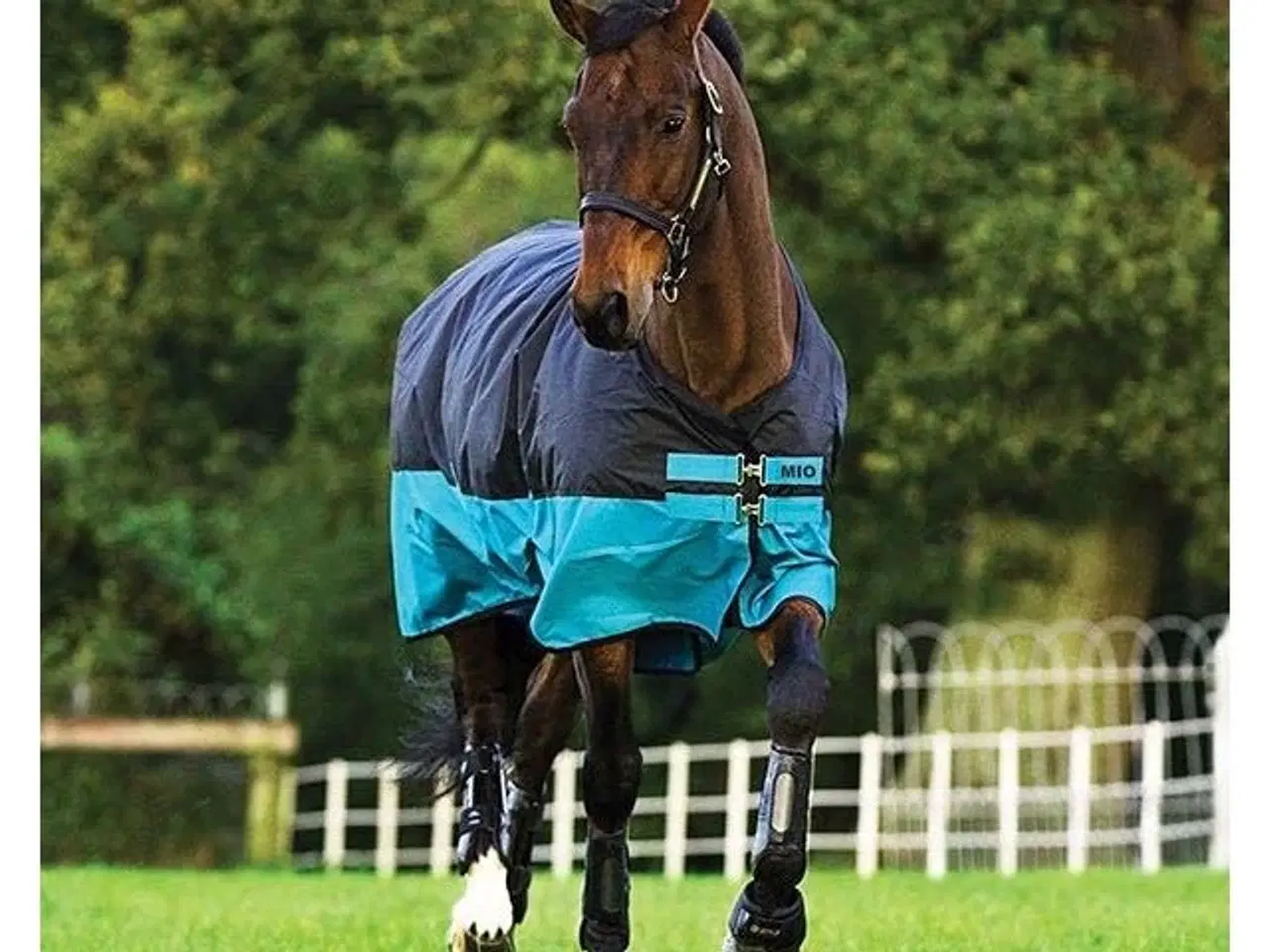 Billede 1 - Horseweare mio udedækken str 115