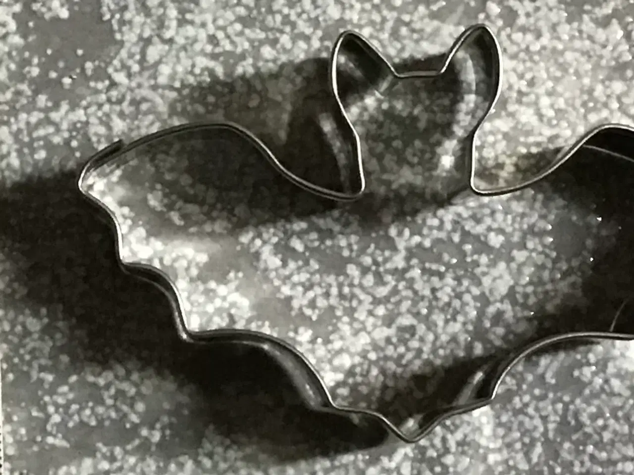 Billede 1 - Flagermus udstikker 