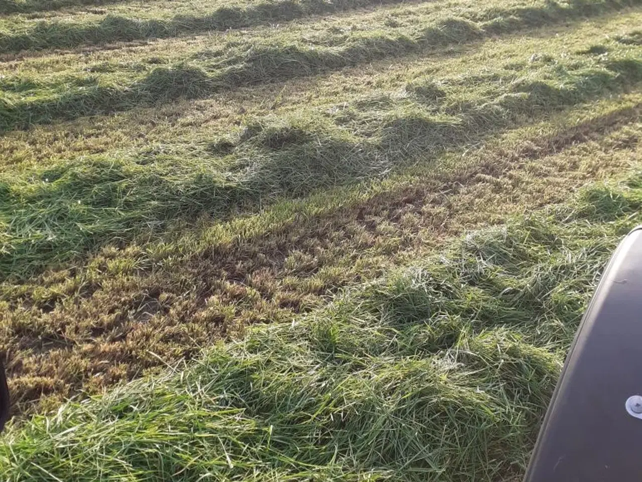 Billede 11 - Lækkert wrap hø 2. slet 2025 m/analyse lavt sukker