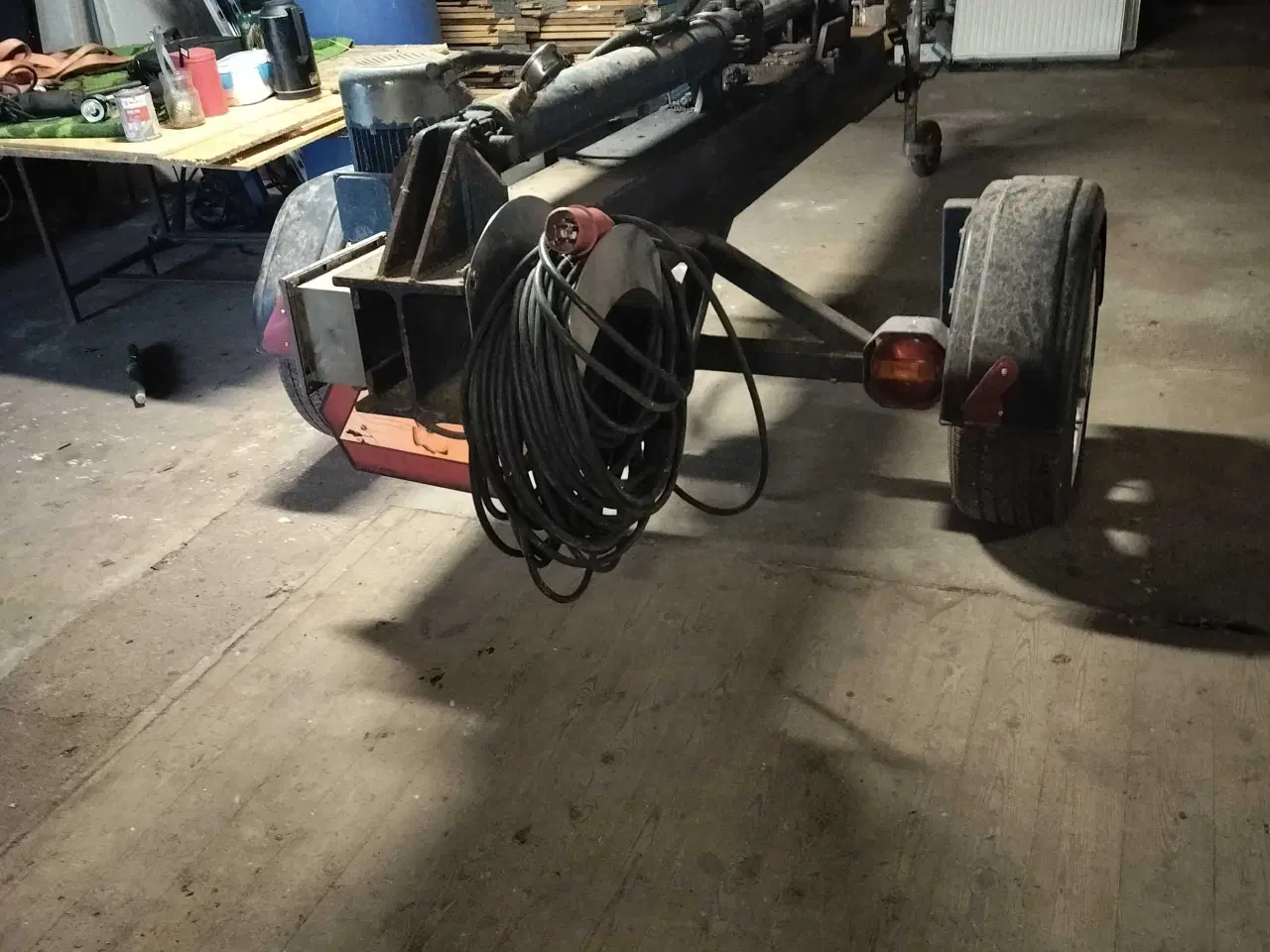 Billede 3 - Stor brændekløver 