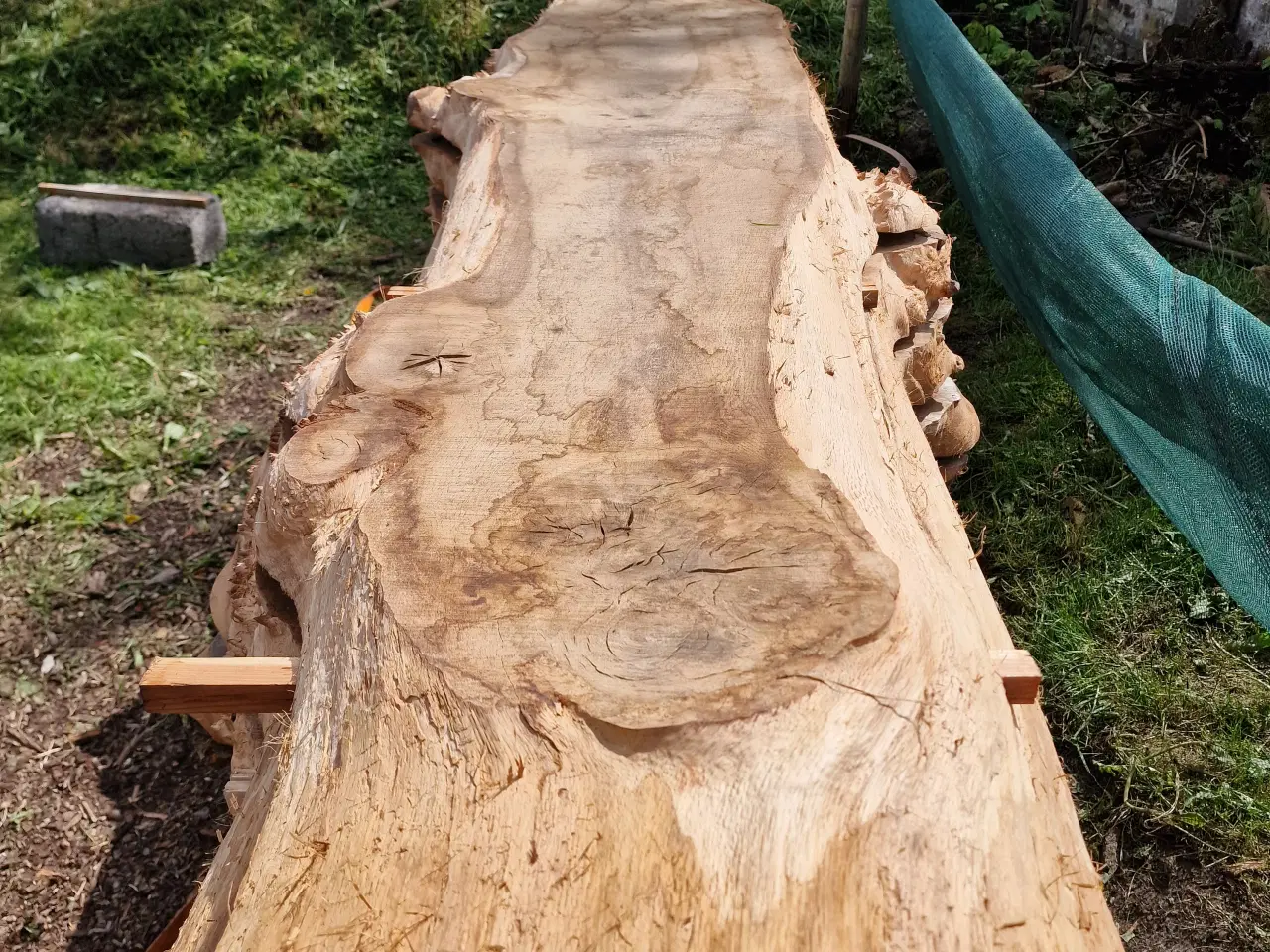 Billede 6 - Store Ege Planker 