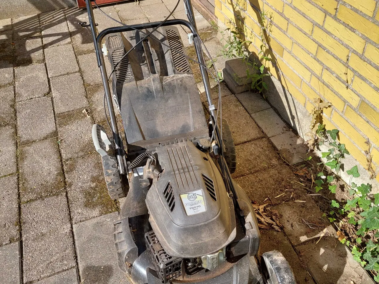 Billede 3 - Plæneklipper Texas benzin