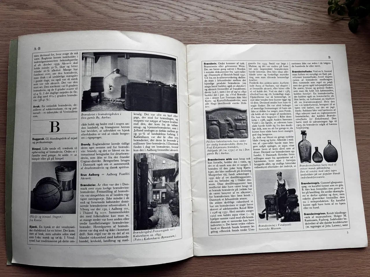 Billede 2 - Snapse-LEKSIKON  