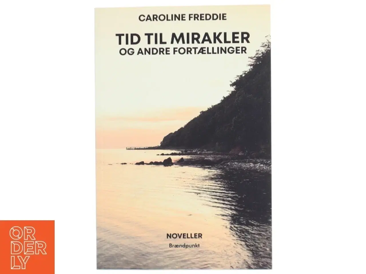 Billede 1 - Tid til mirakler - og andre fortællinger : noveller af Caroline Freddie (f. 1967) (Bog)