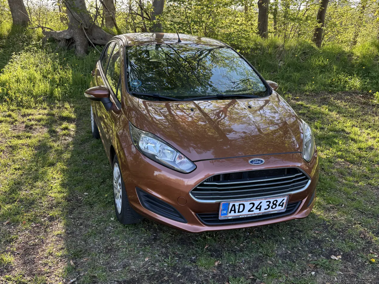 Billede 1 - FORD FIESTA 1.0 EcoBoost