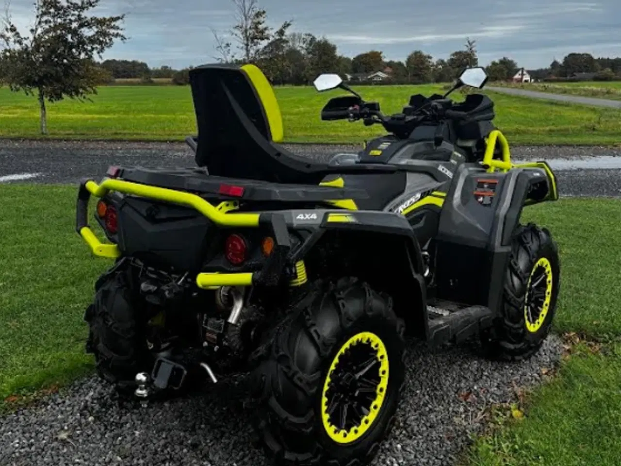 Billede 4 - Demo Model Aodes 1000 cc