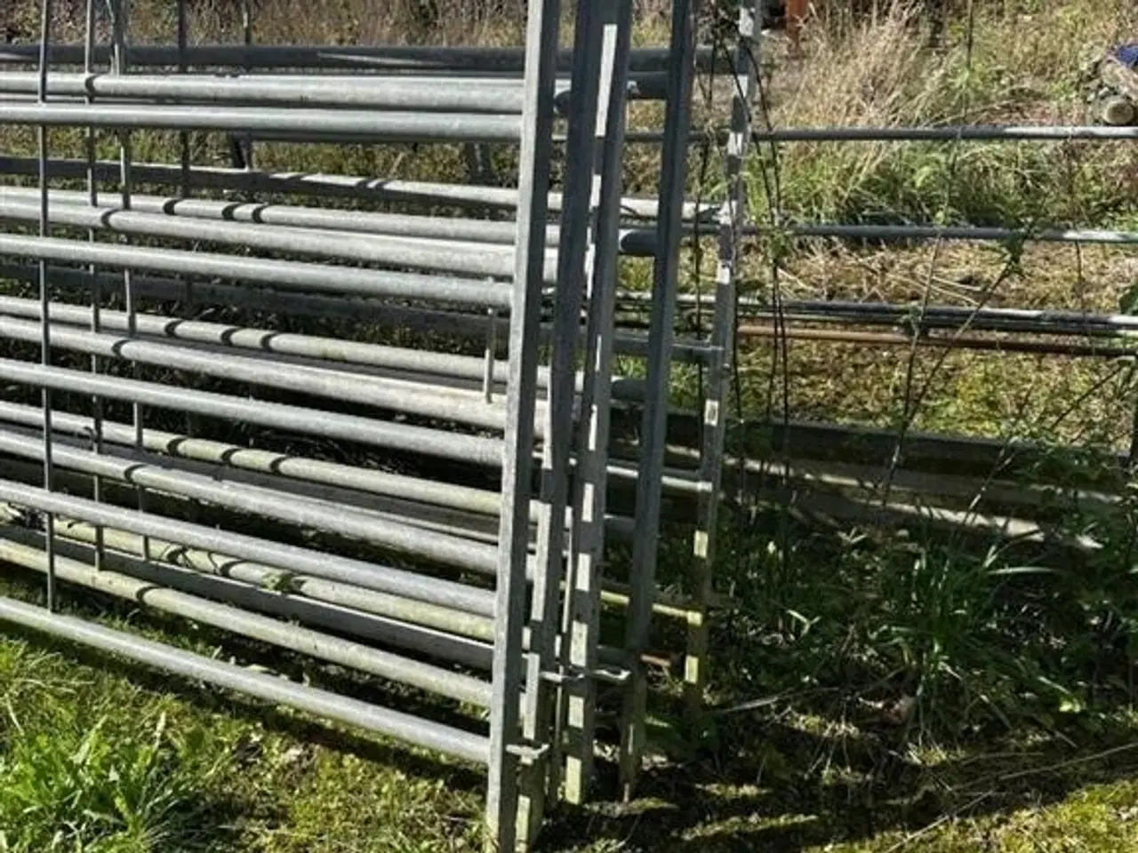 Billede 3 - - - - Fange fold for kvæg
