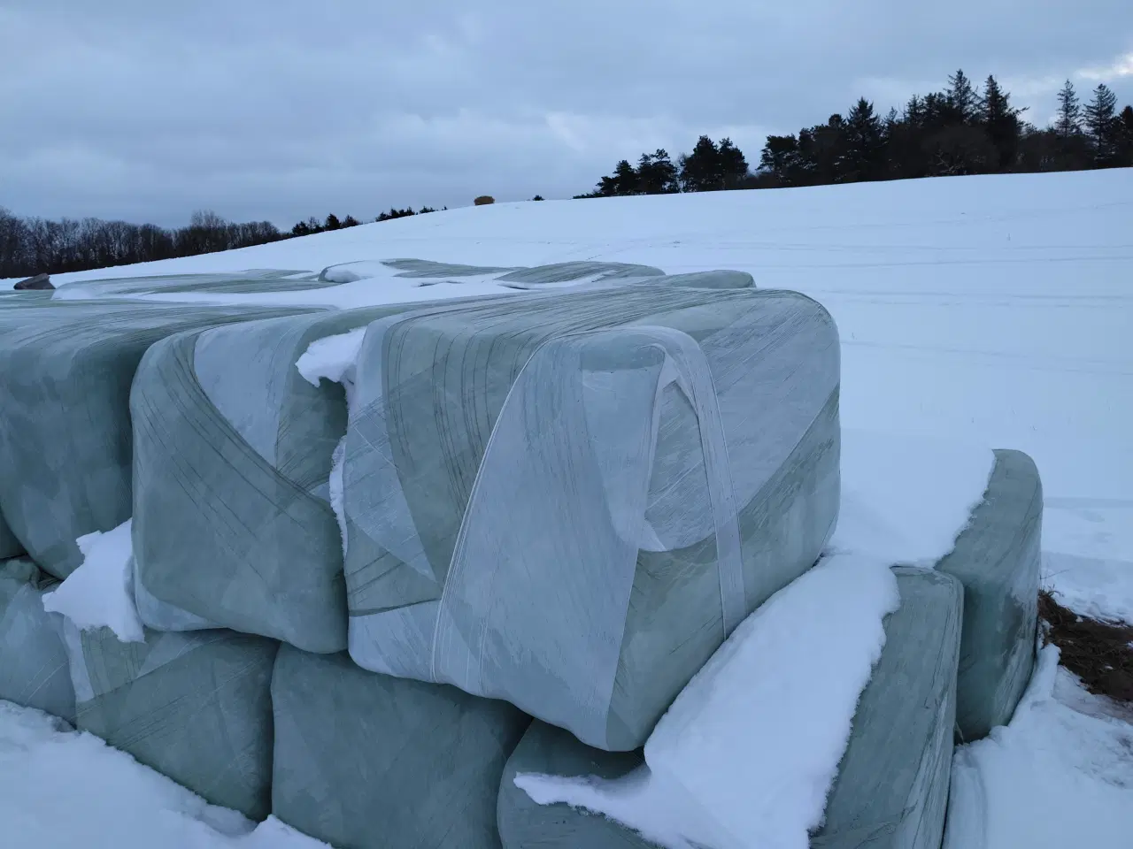 Billede 1 - Hestehø – flot kvalitet, wrapped