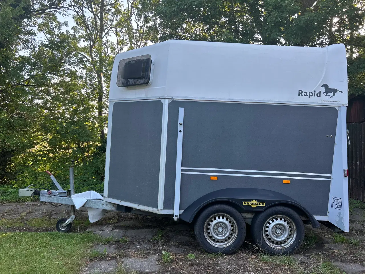 Billede 3 - Humbaur rapid 2 hestetrailer 
