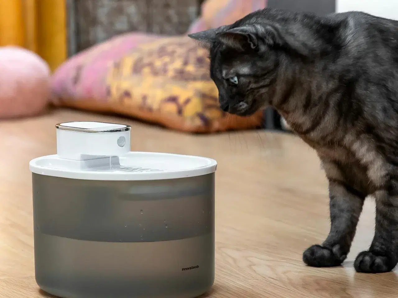 Billede 1 - Genopladelig drikkefontæne til katte med sensor Refopet InnovaGoods