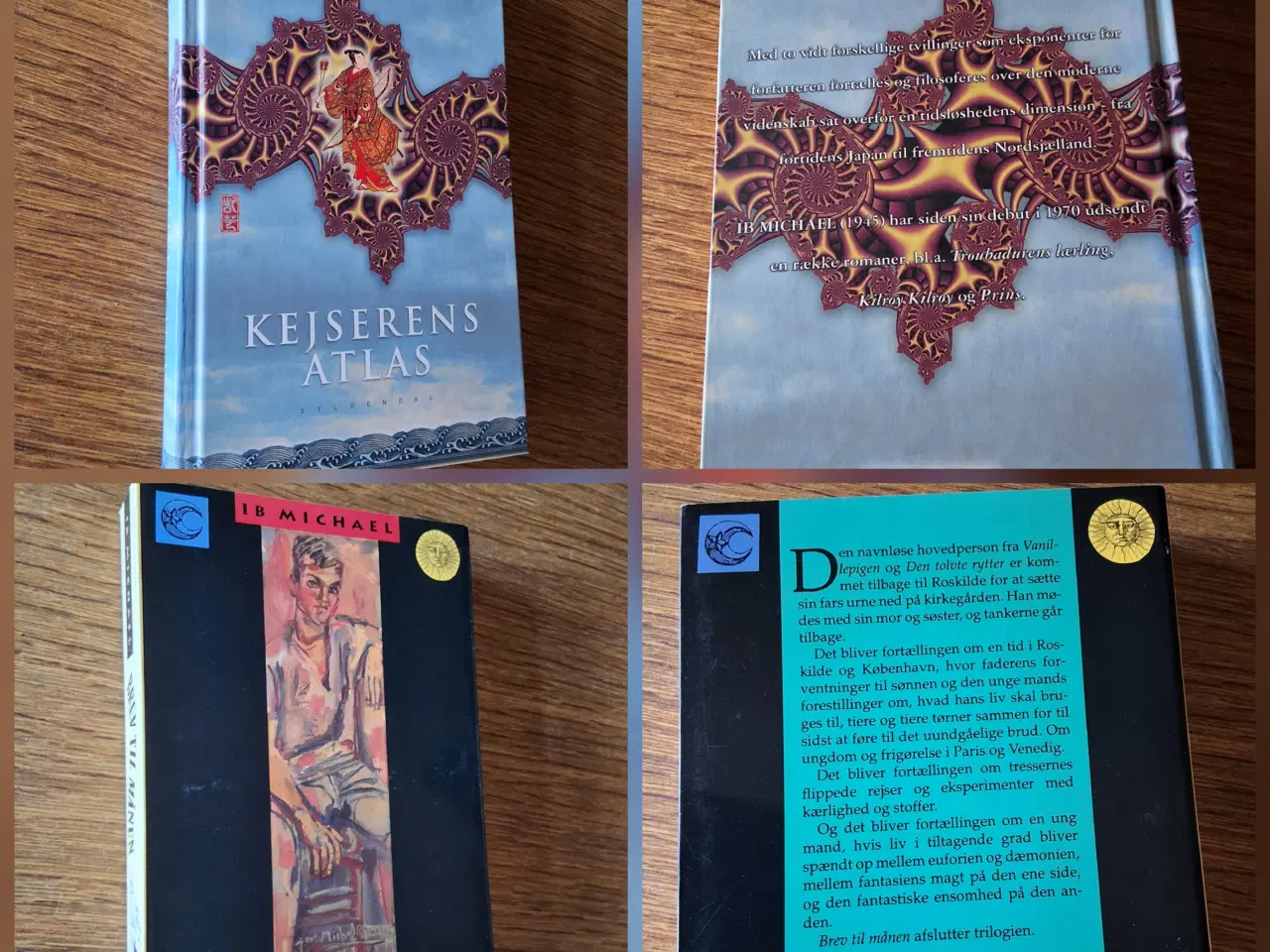 Billede 5 - BogUDsalg  5kr/stk. Samlet køb kan sendes. 