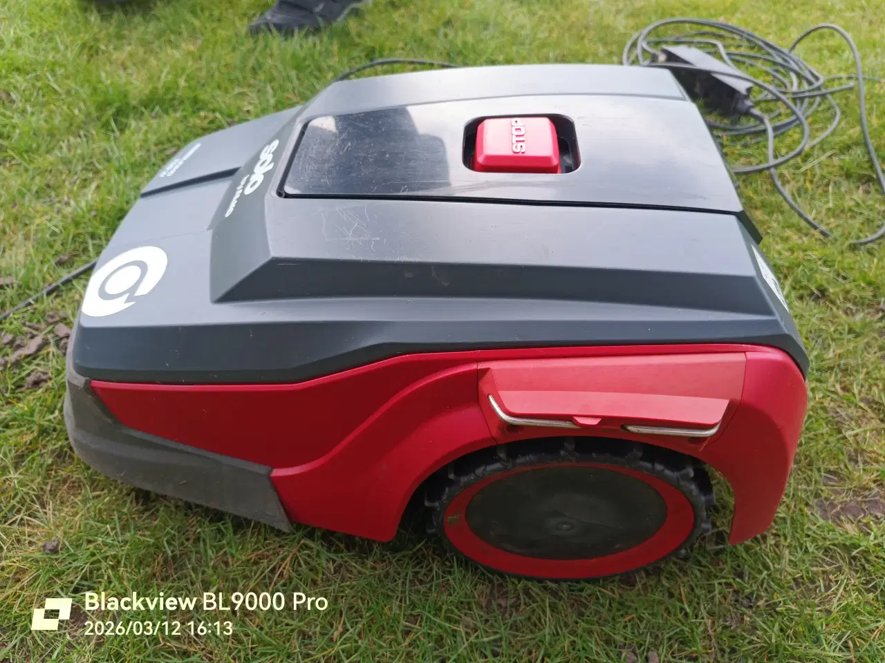 Billede 1 - Robot klipper Alko.