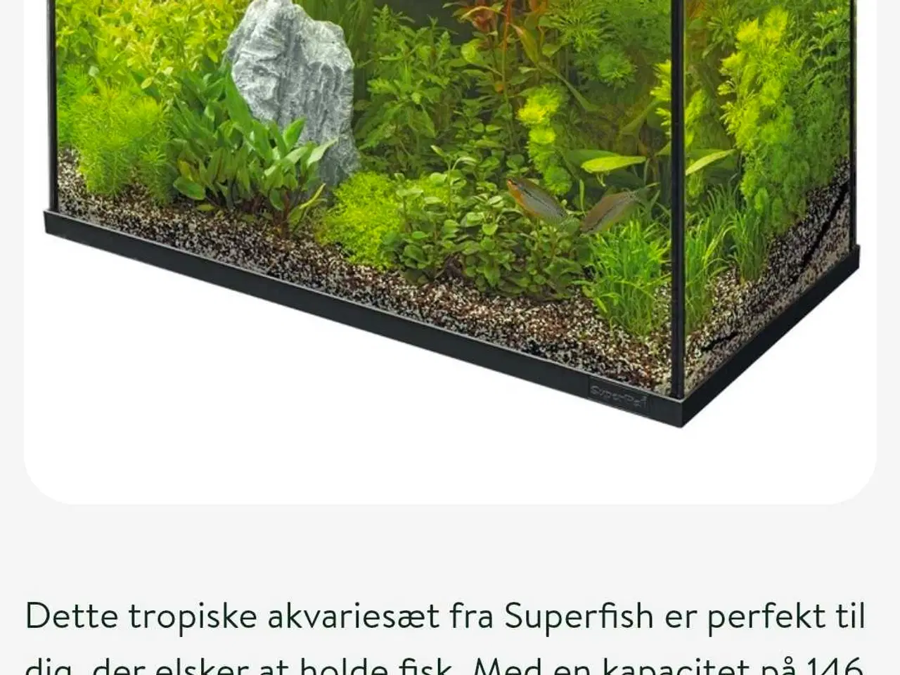 Billede 9 - Akvarier 150L