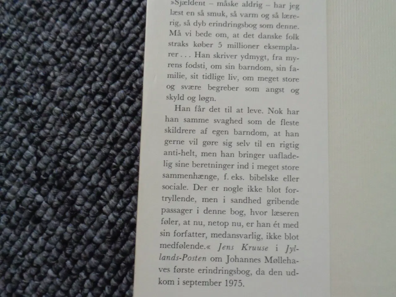 Billede 2 - På myrens fodsti